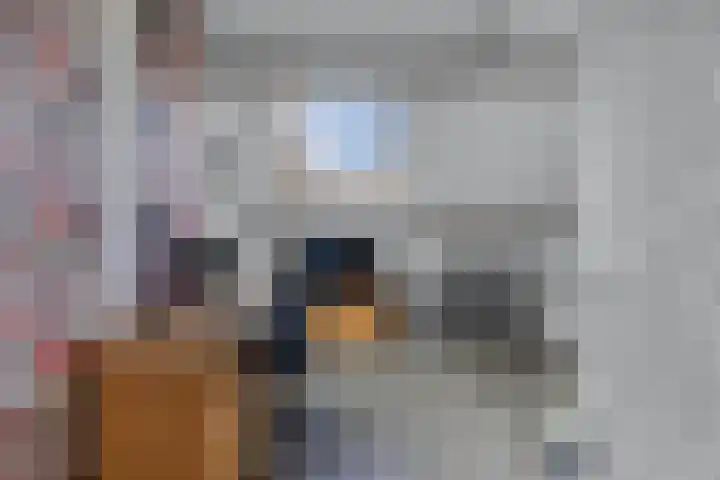 Moezel 75 Drachten thumbnail 26