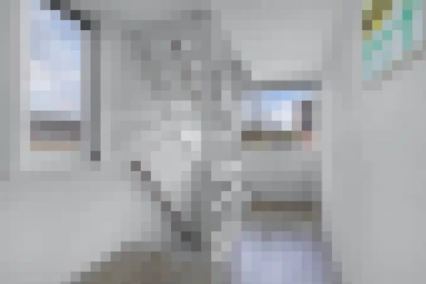 Moezel 75 Drachten thumbnail 28