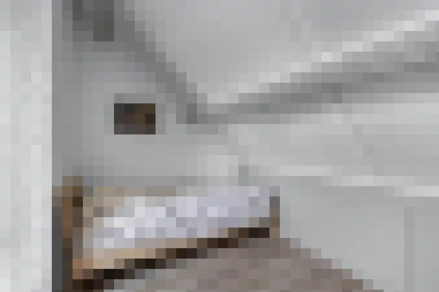 Moezel 75 Drachten thumbnail 33
