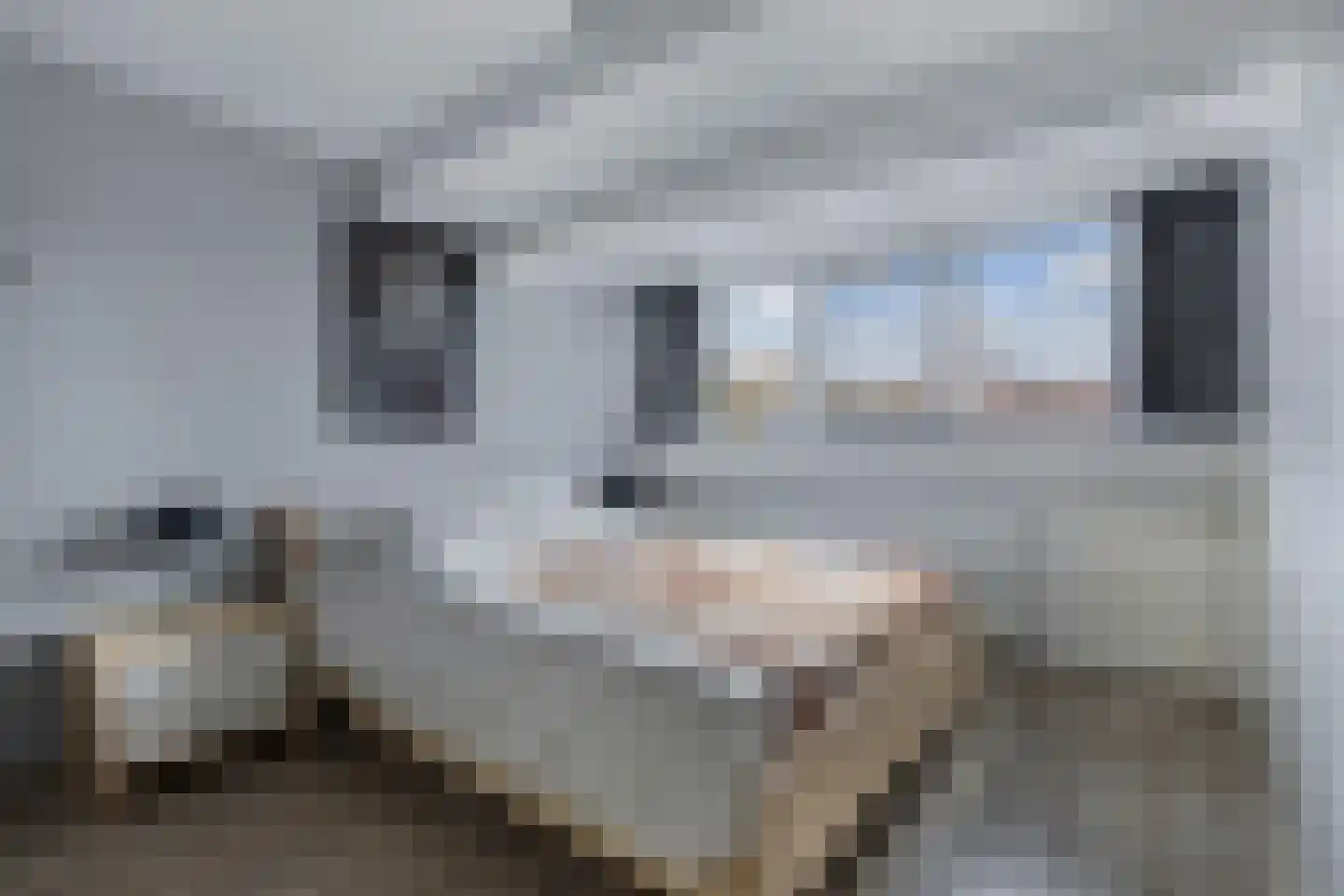 Moezel 75 Drachten thumbnail 35