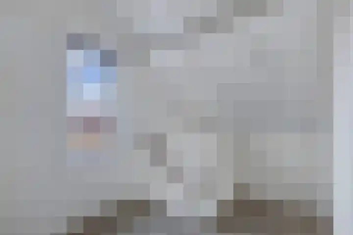 Moezel 75 Drachten thumbnail 38