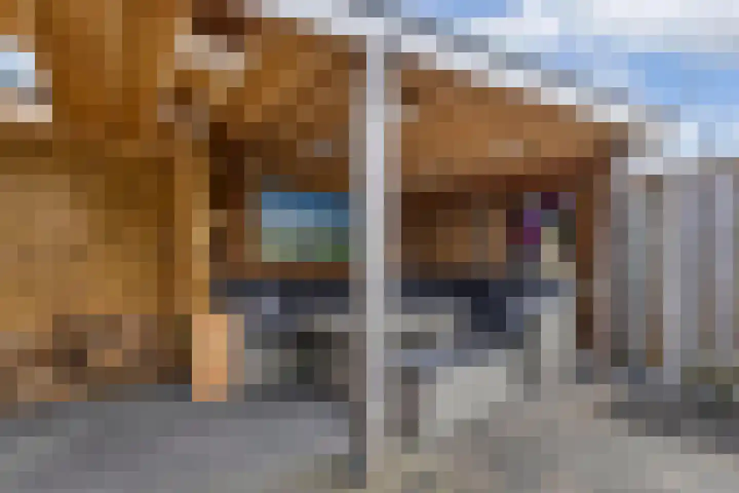 Moezel 75 Drachten thumbnail 48