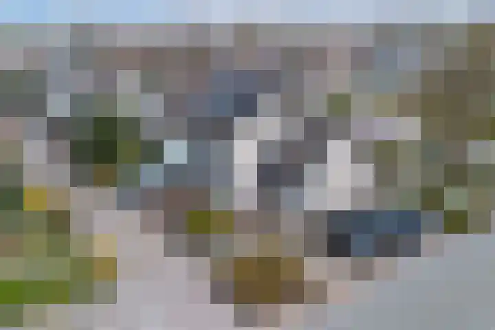 Moezel 75 Drachten thumbnail 49