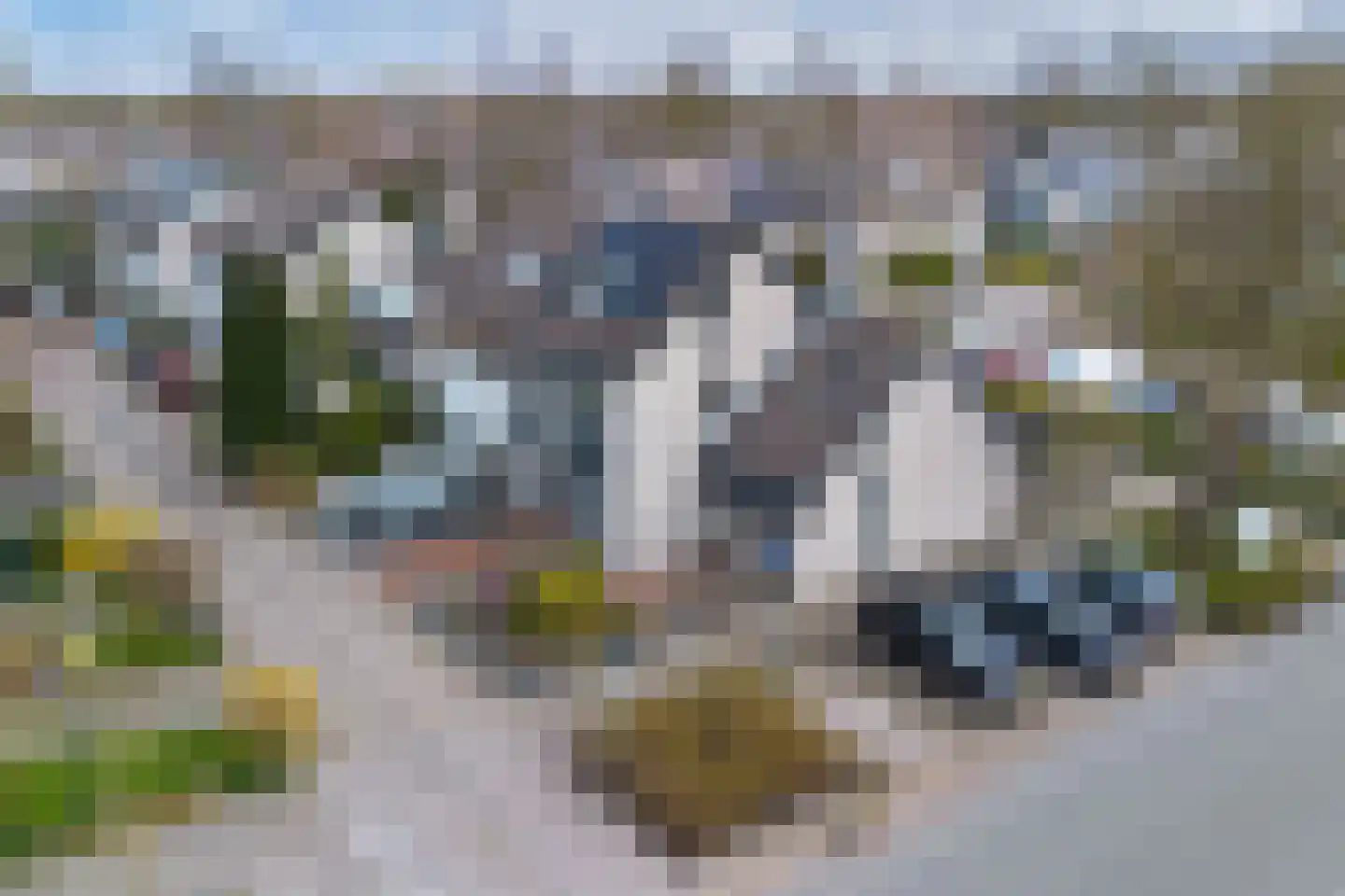 Moezel 75 Drachten thumbnail 54