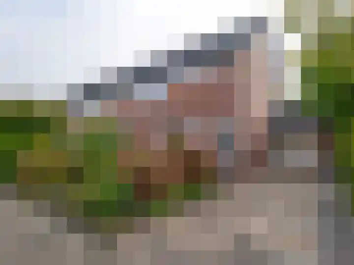 Moezel 84 dans Drachten