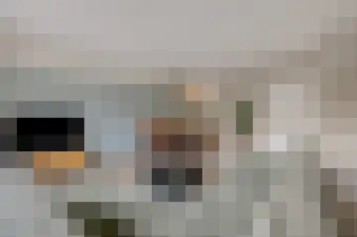 Moezeldal 24 Doetinchem thumbnail 10