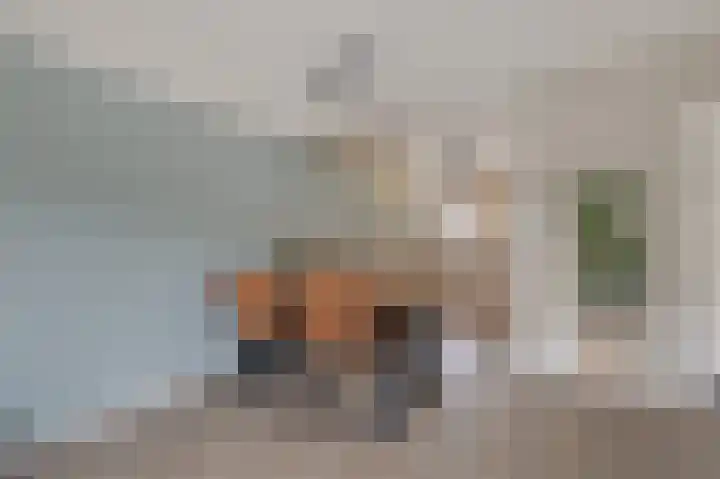 Moezeldal 24 Doetinchem thumbnail 11
