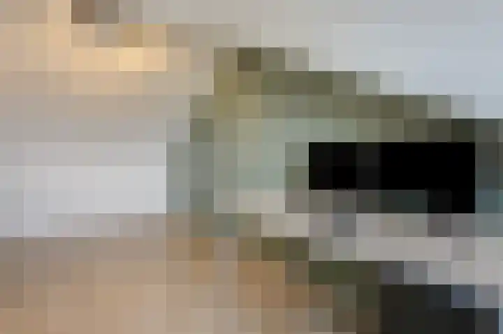 Moezeldal 24 Doetinchem thumbnail 38