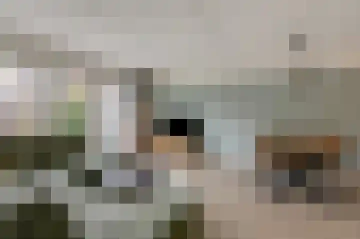 Moezeldal 24 Doetinchem thumbnail 9