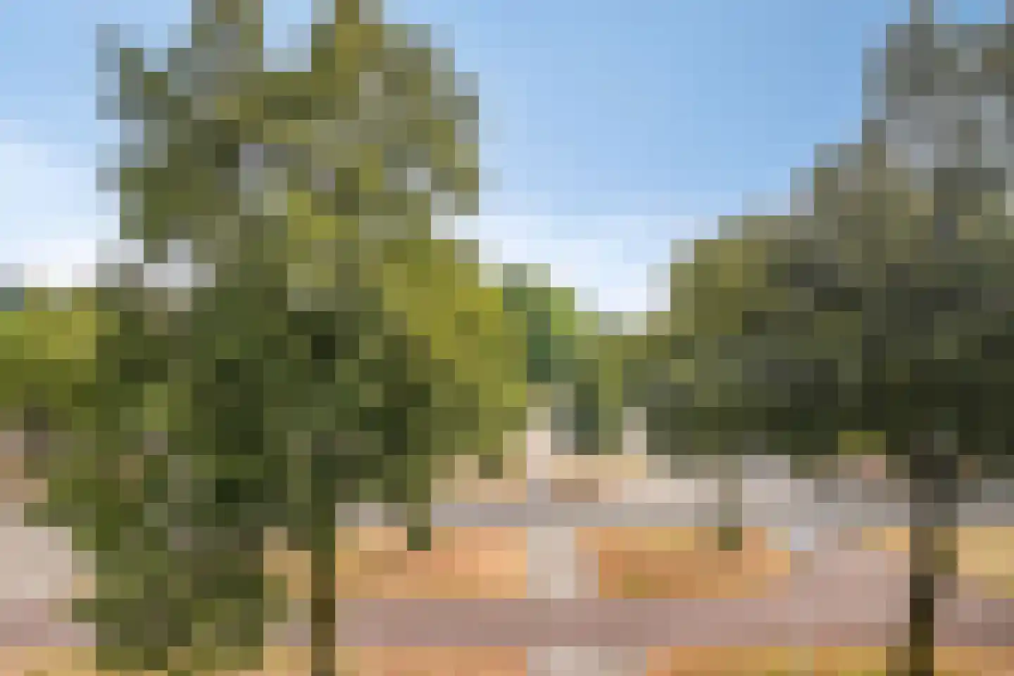 Moezeldreef 135 Utrecht thumbnail 11