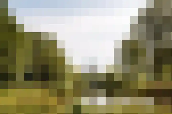 Moezeldreef 135 Utrecht thumbnail 23
