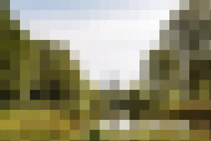 Moezeldreef 135 Utrecht thumbnail 23
