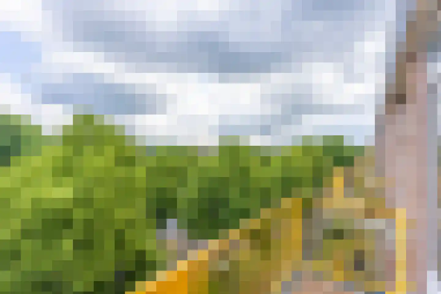 Moezeldreef 145 Utrecht thumbnail 24
