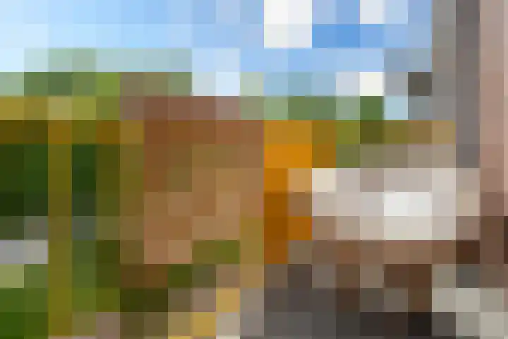 Moezeldreef 155 Utrecht thumbnail 21