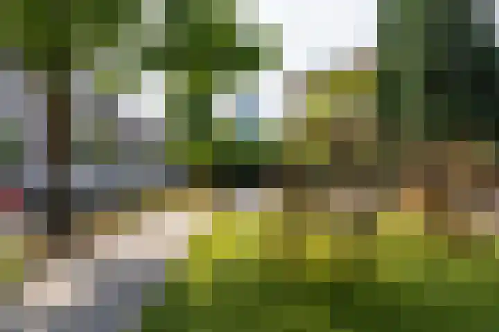 Moezeldreef 165 Utrecht thumbnail 25