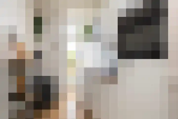 Moezeldreef 175 Utrecht thumbnail 13