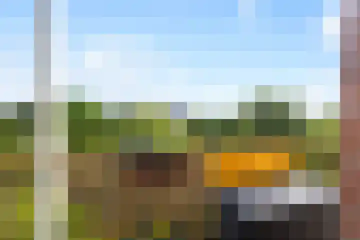 Moezeldreef 175 Utrecht thumbnail 15