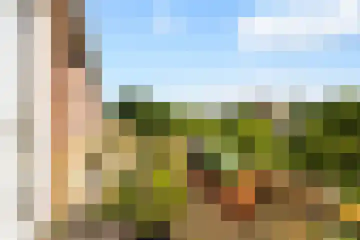 Moezeldreef 175 Utrecht thumbnail 16