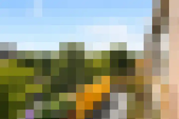 Moezeldreef 175 Utrecht thumbnail 17