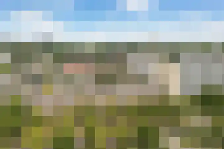 Moezeldreef 175 Utrecht thumbnail 22