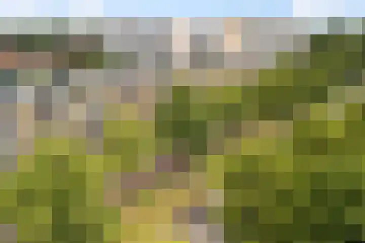 Moezeldreef 175 Utrecht thumbnail 25