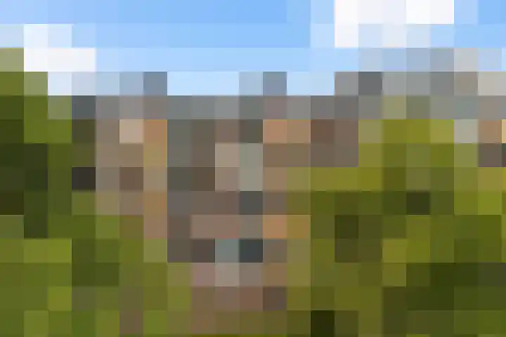Moezeldreef 175 Utrecht thumbnail 31