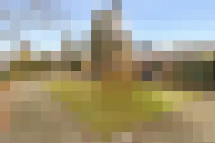 Moezeldreef 179 Utrecht thumbnail 21