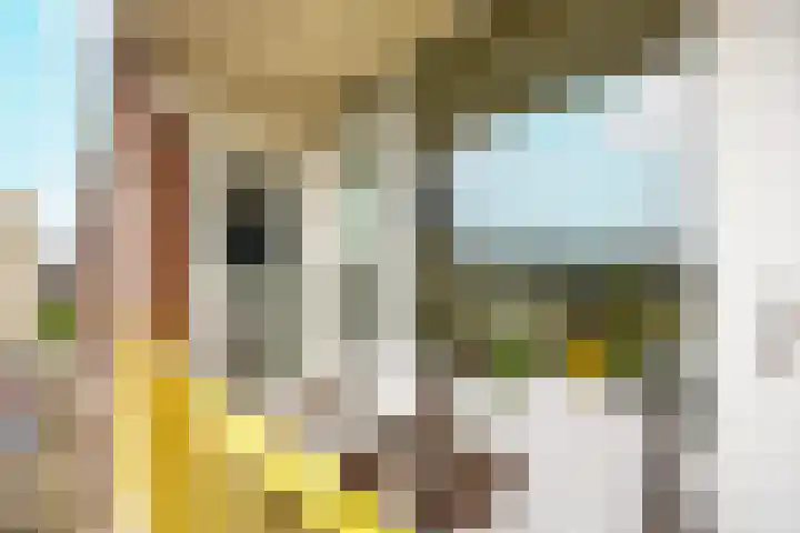 Moezeldreef 207 Utrecht thumbnail 20
