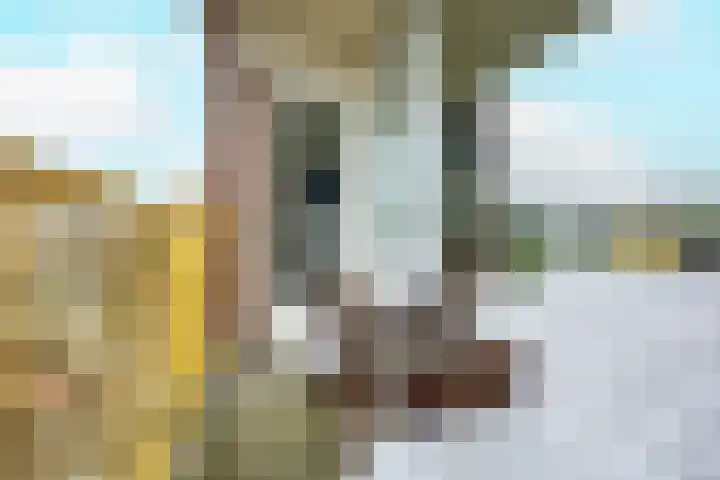 Moezeldreef 207 Utrecht thumbnail 21
