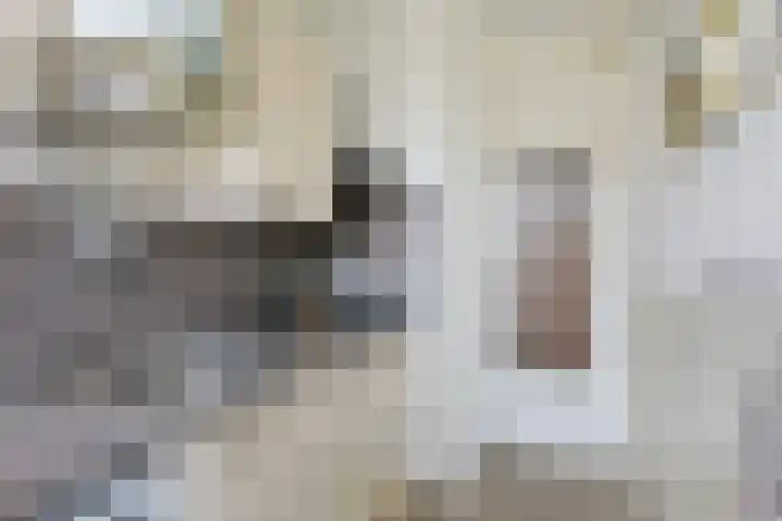 Moezeldreef 207 Utrecht thumbnail 25