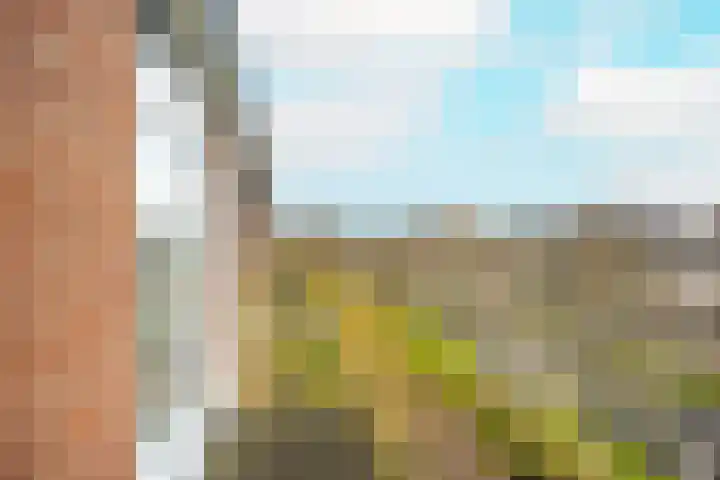 Moezeldreef 207 Utrecht thumbnail 29