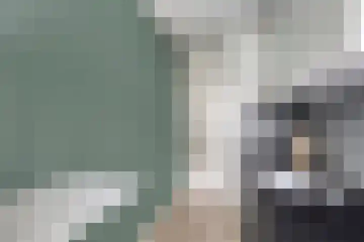 Moezeldreef 217 Utrecht thumbnail 10