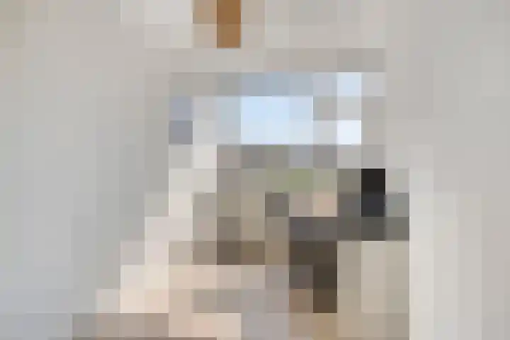 Moezeldreef 217 Utrecht thumbnail 18