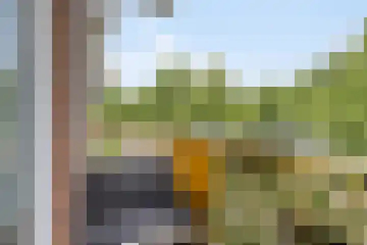 Moezeldreef 217 Utrecht thumbnail 22