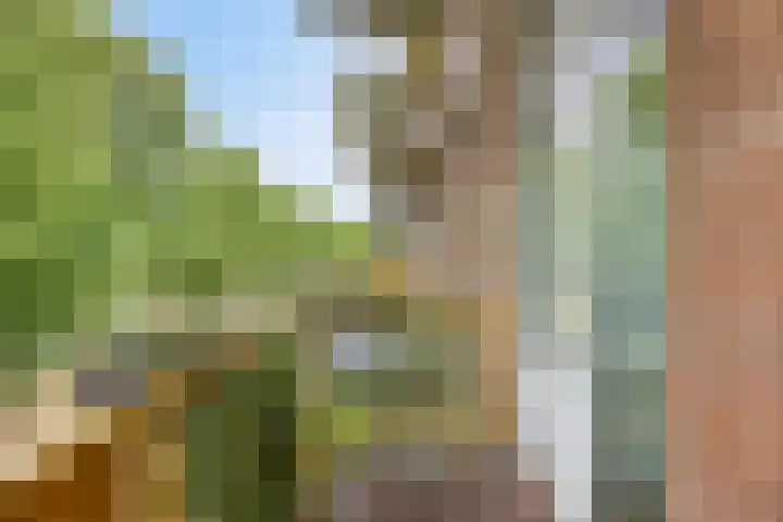 Moezeldreef 217 Utrecht thumbnail 23
