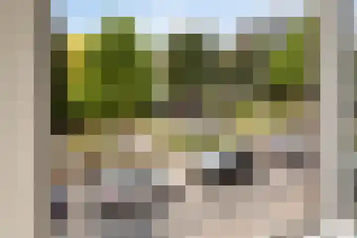 Moezeldreef 217 Utrecht thumbnail 26
