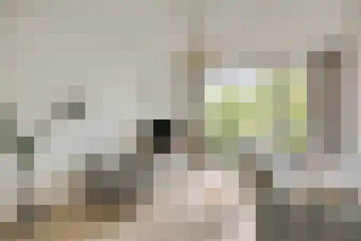 Moezeldreef 217 Utrecht thumbnail 6