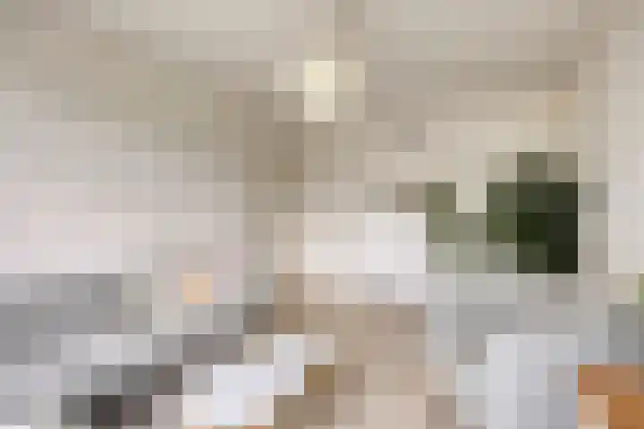 Moezeldreef 217 Utrecht thumbnail 7