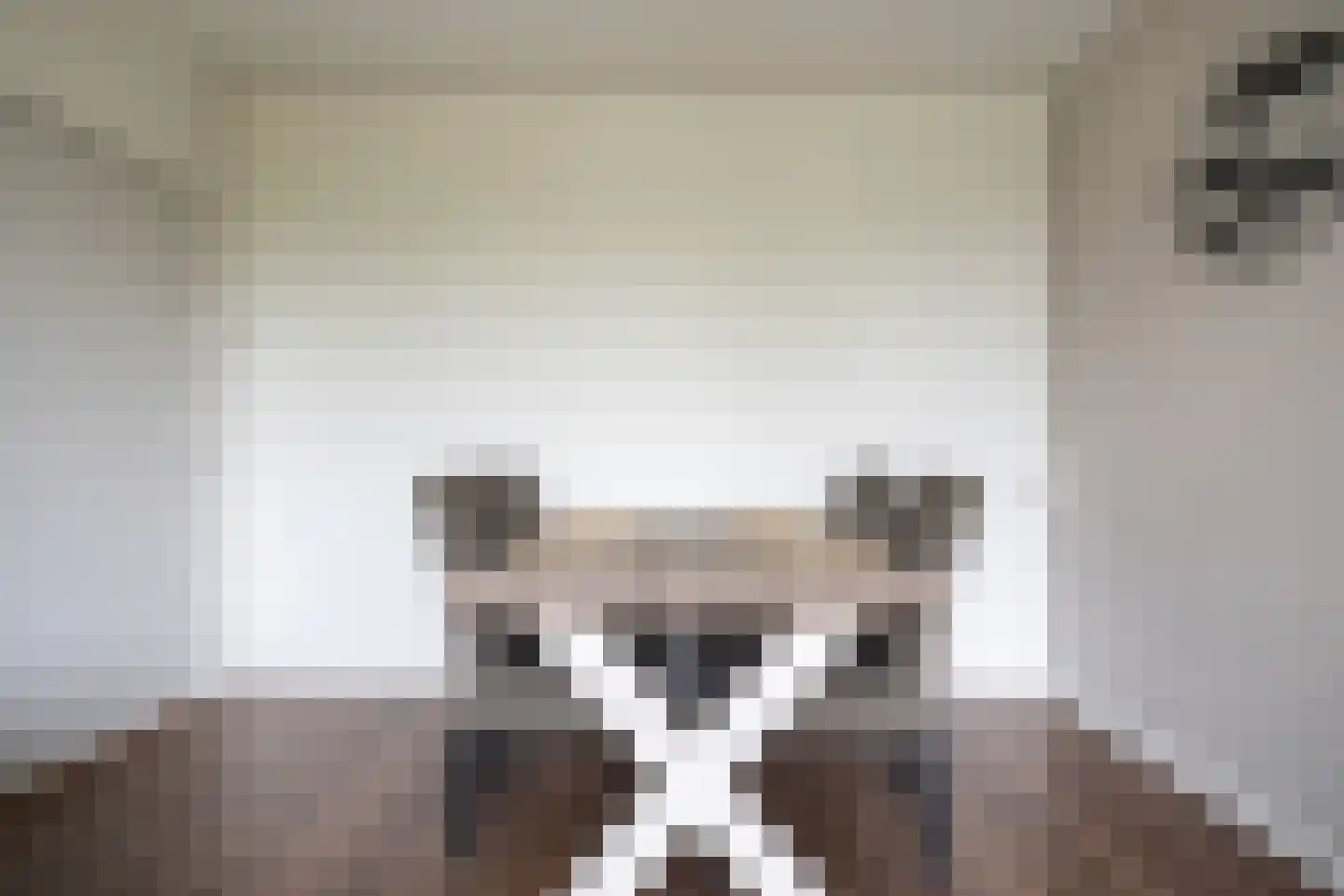 Moezeldreef 221 Utrecht thumbnail 4