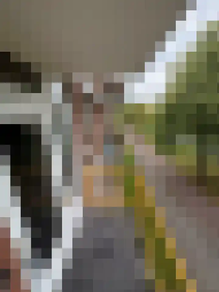 Moezeldreef 235 Utrecht thumbnail 11