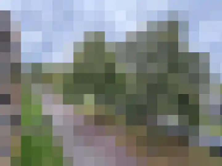 Moezeldreef 235 Utrecht thumbnail 12