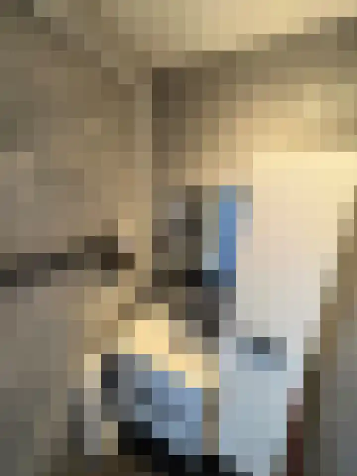 Moezeldreef 235 Utrecht thumbnail 20