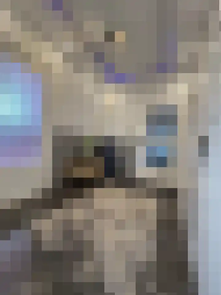 Moezeldreef 235 Utrecht thumbnail 5