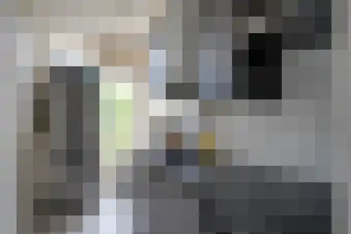 Moezeldreef 271 Utrecht thumbnail 12