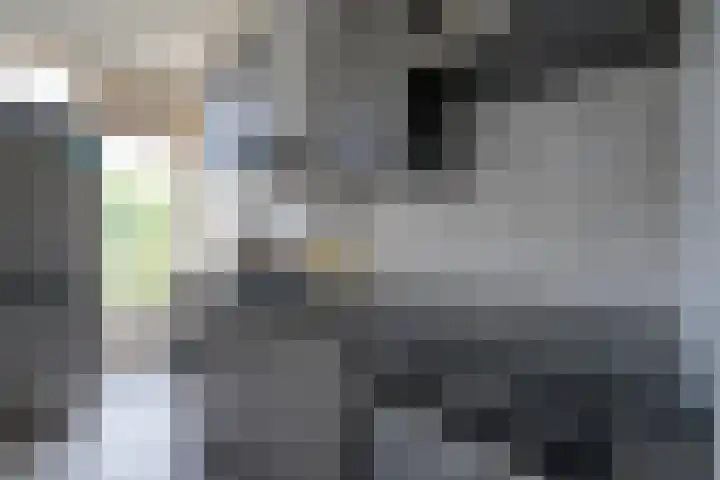 Moezeldreef 271 Utrecht thumbnail 13