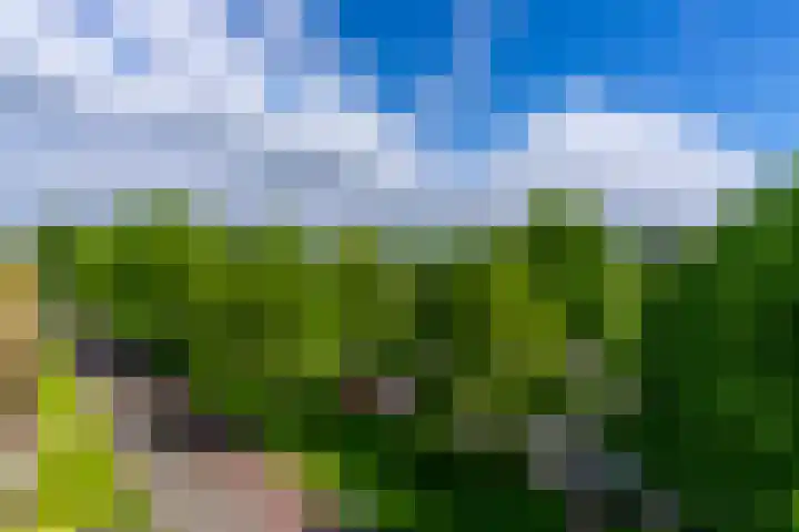 Moezeldreef 271 Utrecht thumbnail 17