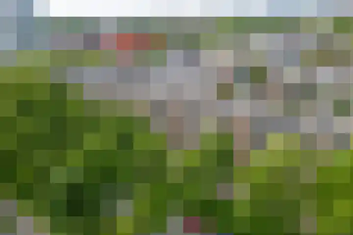 Moezeldreef 271 Utrecht thumbnail 29