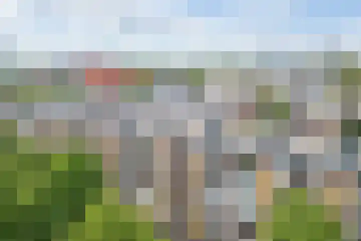 Moezeldreef 271 Utrecht thumbnail 32