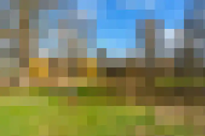 Moezeldreef 271 Utrecht thumbnail 33