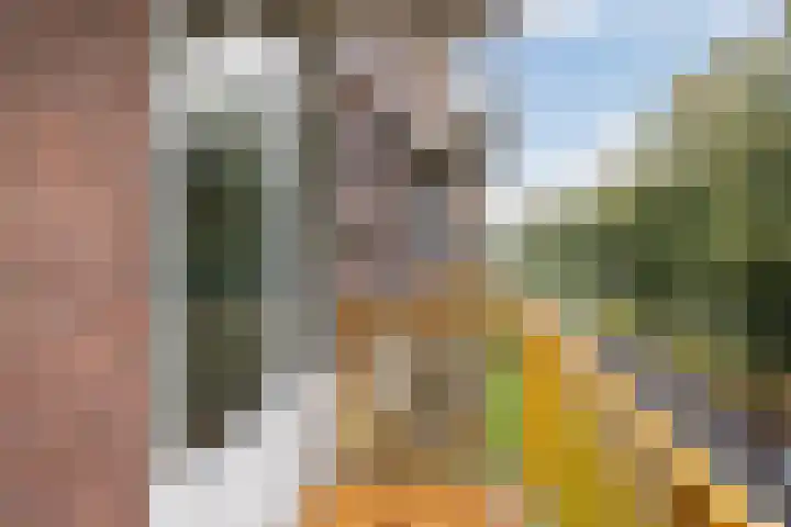Moezeldreef 311 Utrecht thumbnail 10